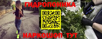 эйфоретик Тула