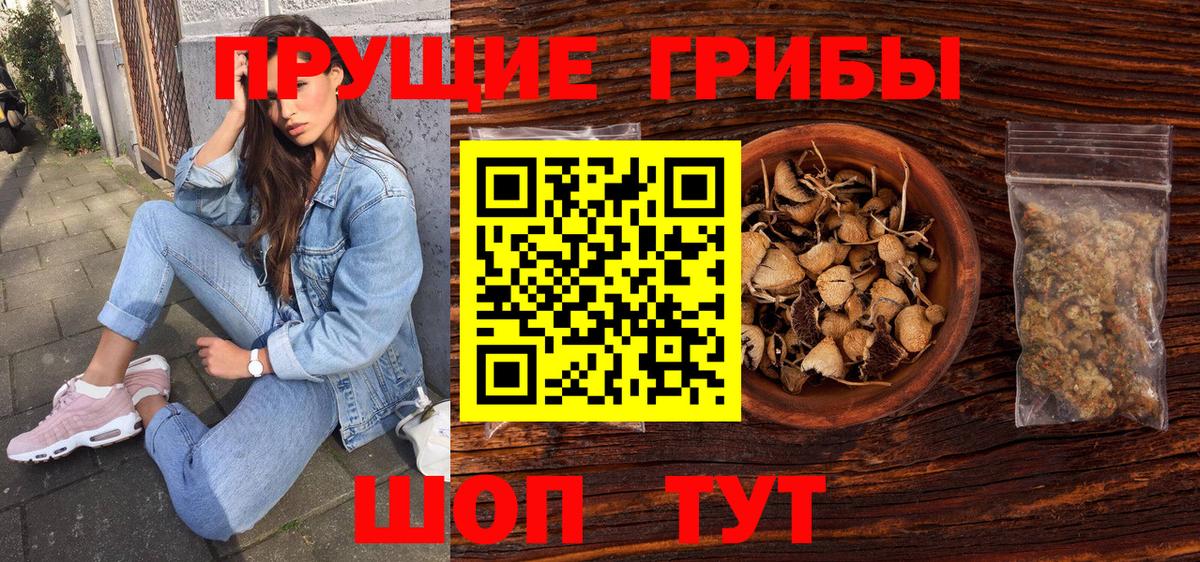 Галлюциногенные грибы Cubensis Братск